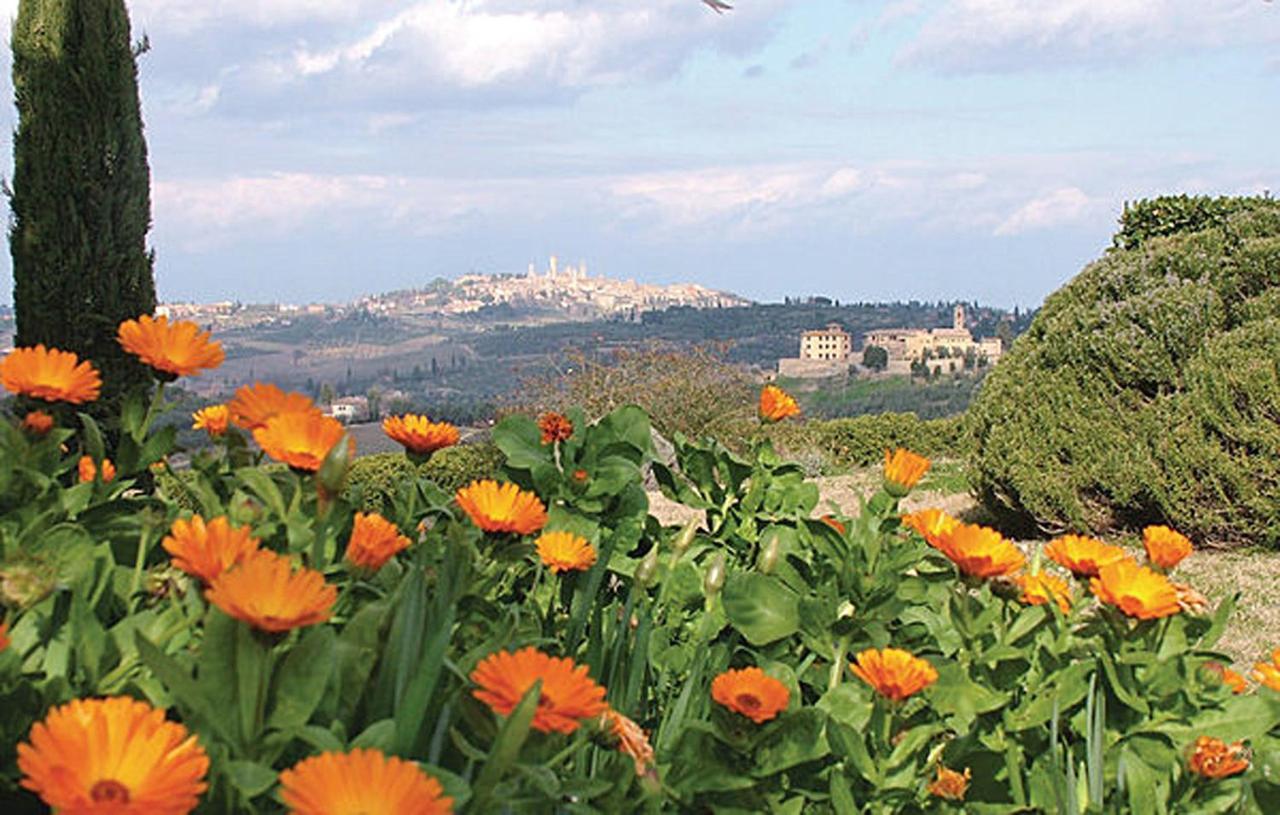 Agriturismo Fattoria Il Piano - Appartamento Antica Cucina - San Gimignano Bagian luar foto